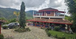 VENDO FINCA EN FREDONIA