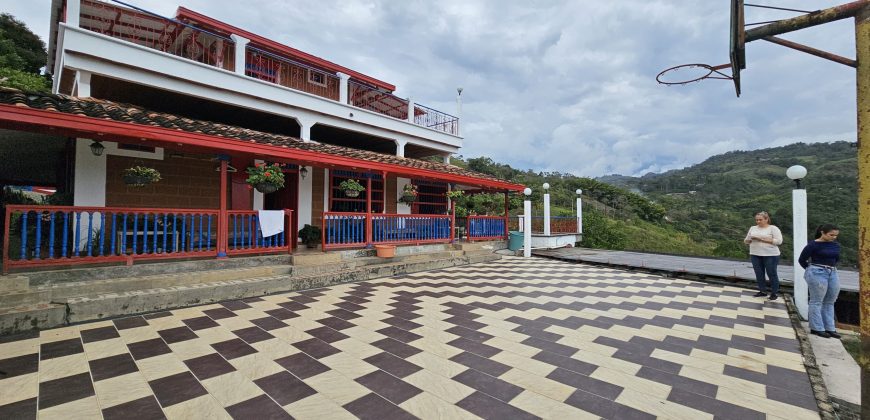 VENDO FINCA EN FREDONIA