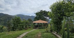VENDO FINCA EN FREDONIA