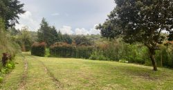 VENDO FINCA EN RIONEGRO