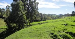 VENDO FINCA DON MATÍAS