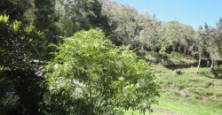 VENDO FINCA DON MATÍAS