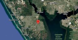 Círculo de Amarilis en South Gulf Cove, Florida