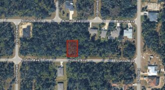 Lote 5 en Johns Ave. Port Charlotte, FL