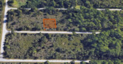 Avenida Maclachlan, Port Charlotte, Florida