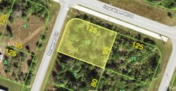 Lote 10 Snapper Cir en South Gulf Cove, Florida